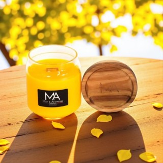 Bougie parfumée - Mimosa