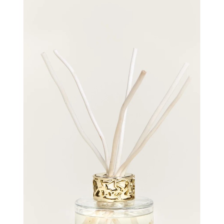 Duo mini Bouquet & Bougie Lolita Lempicka Transparent
