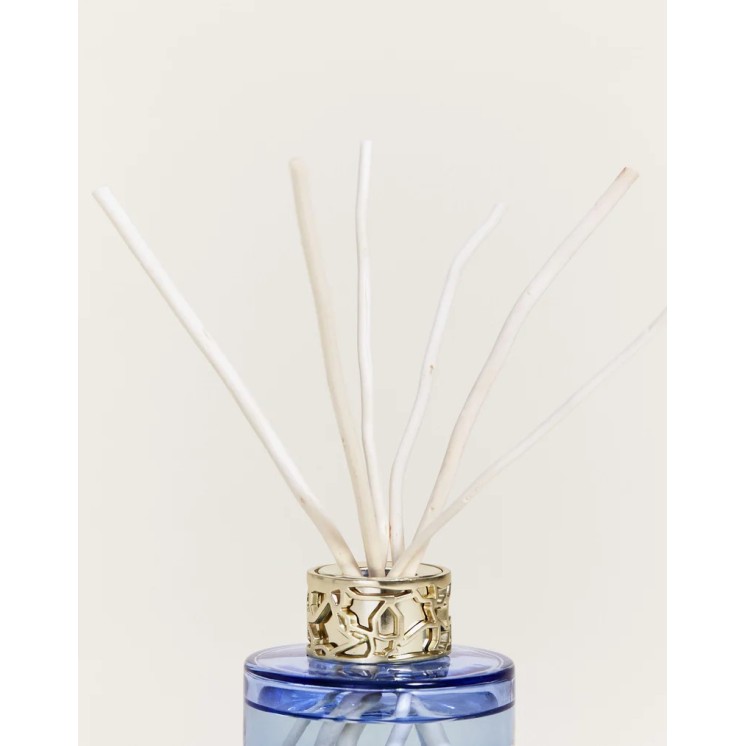Duo mini Bouquet & Bougie Lolita Lempicka Parme