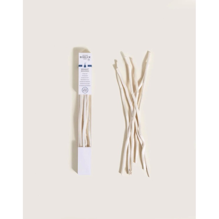 Etui 6 brins en saule 21cm