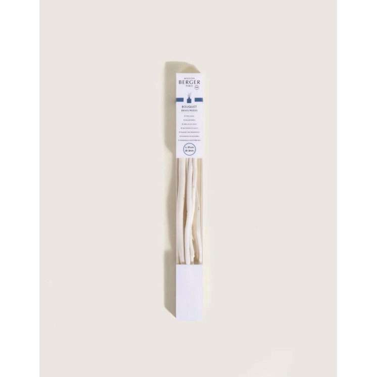 Etui 6 brins en saule 21cm